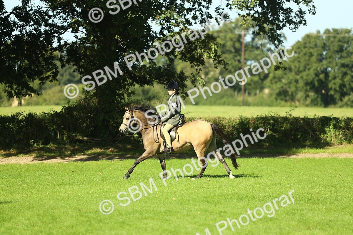 SBM_36500 - S29 - Novice & Newcomers Working Hunter Pony