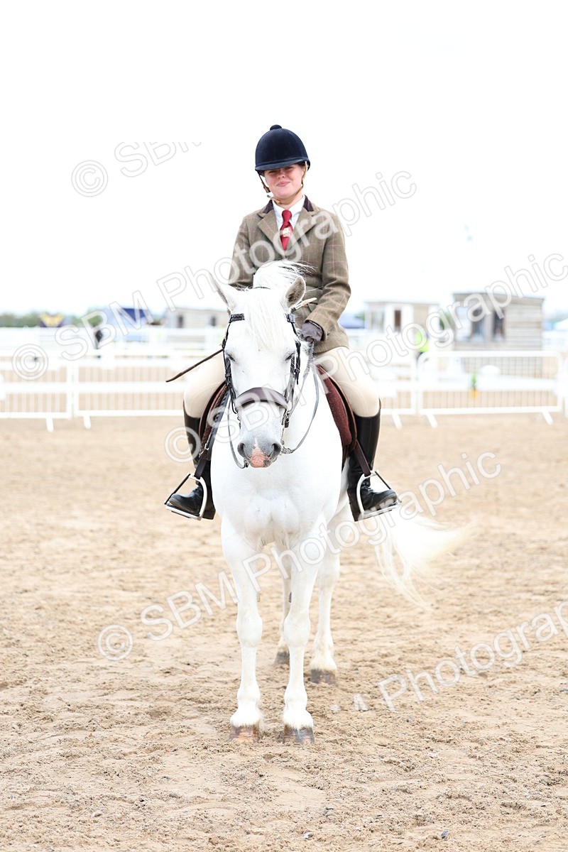SBM_01481 - Class 17 - Prettiest Mare