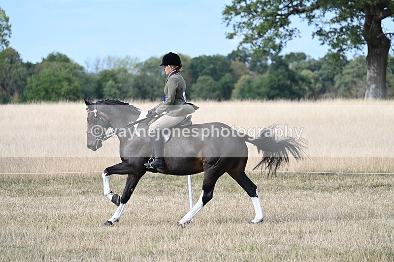 WJ7_7766 - Ridden Championship