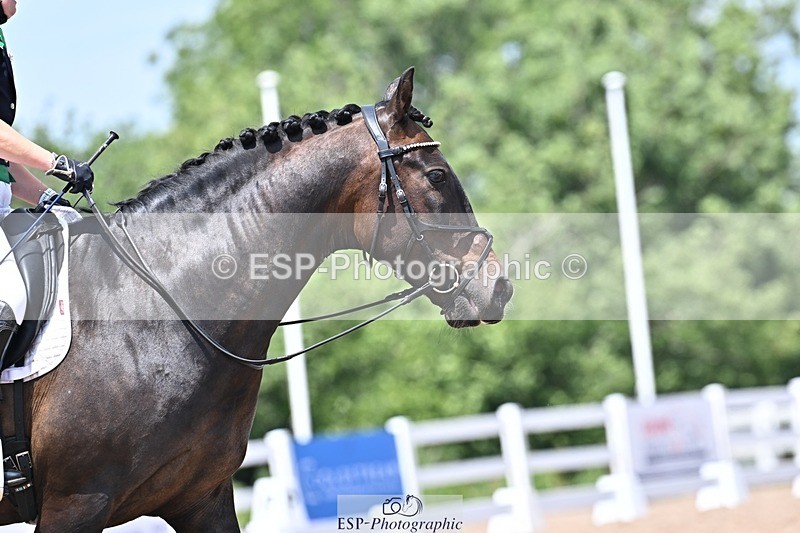 250620-133748-03495 - BD Cls 7 - Elementary 5, Start to 14.40pm