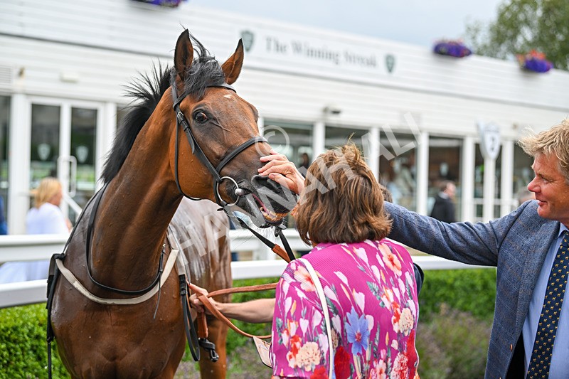 190824-Race 6-Vince Le Prince-4004 - Race 6