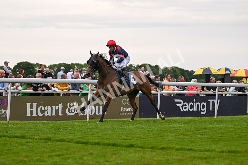 050724-Race 5-Walter Hartright-2539 - Race 5