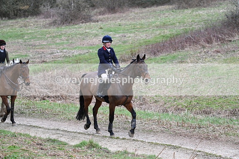 WJ7_7377 - Walk Home