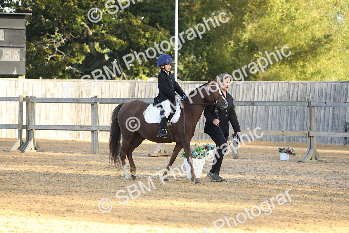 SBM_33639 - D26 - Starers - Lead Rein