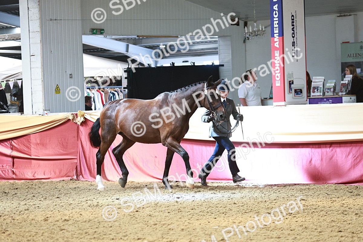 SBM_04765 - Class 7R - Regional IH Diamond