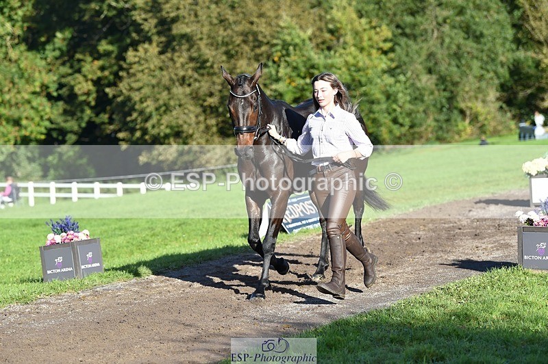 231022-102506-22464 - 435-TIMASSINI-Lana.Bennett-TrotUp+SJ