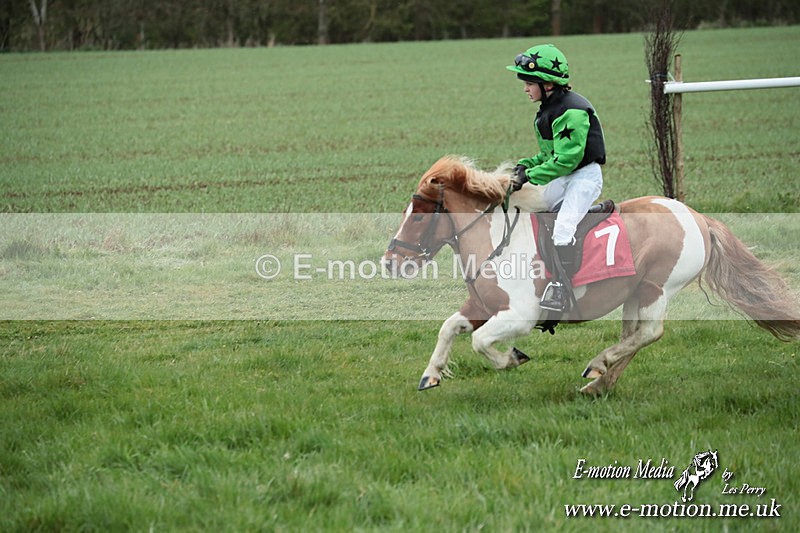 SHETPR 210425 220 - Shetland Ponies Paxford Races 21/04/25