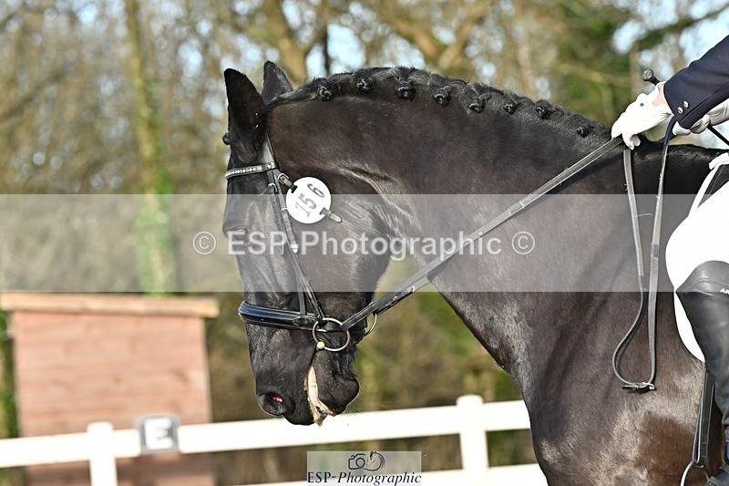 241214-133126-02466 - 156-Jo.Roberts-MajesticC