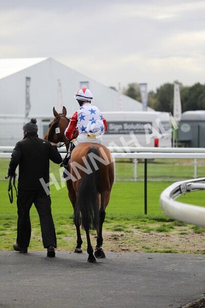 yr07102022r2-3 - Race 2 2.40pm William Hill Autumn Mile