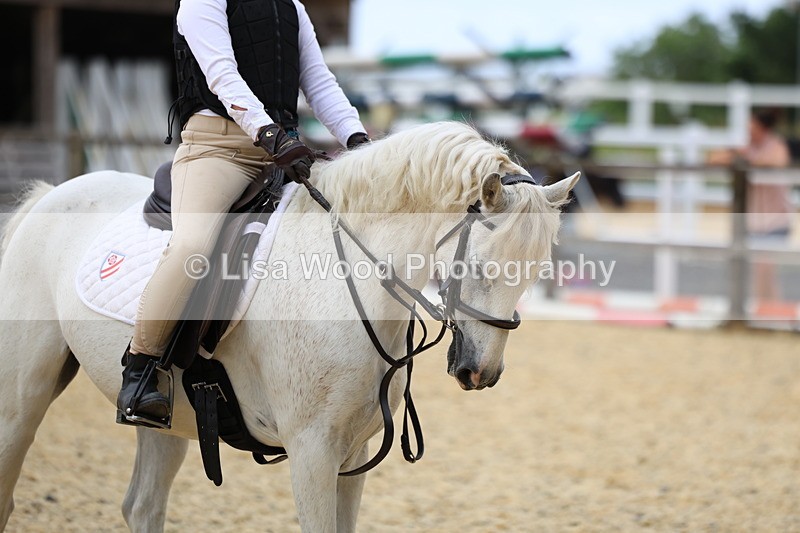 3E7A9606 - Walk trot run