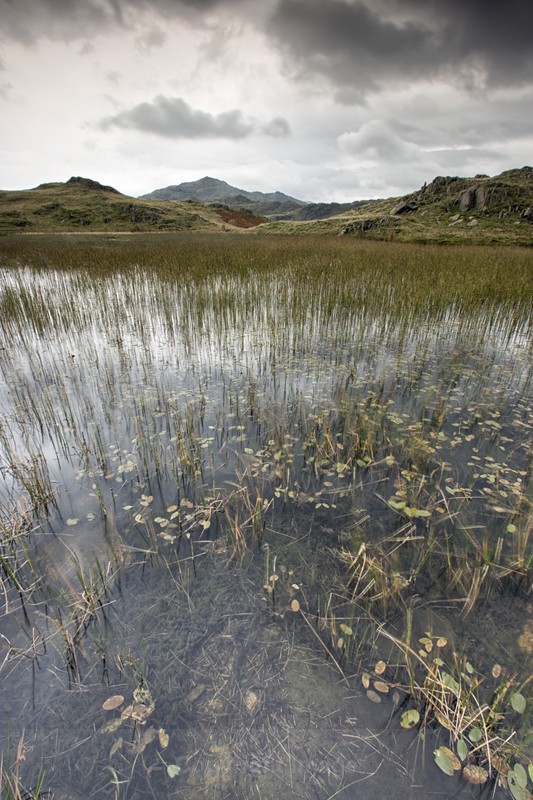 Stickle Tarn - Distant Hills