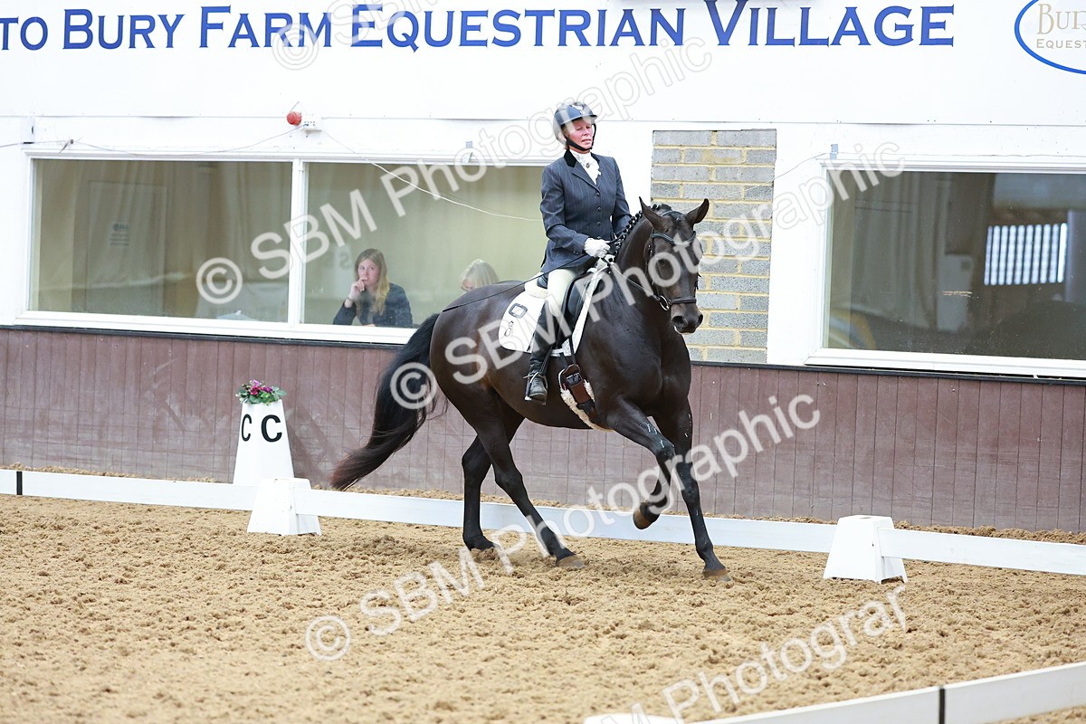 SBM_007632 - Class 4-5-6 - Prel 3-Novice 2-Ele 2