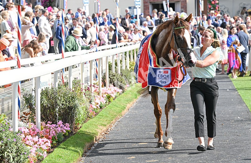 220826-165 Daiquiri Bay - Race 4 15.35pm Sky Bet Ebor Handicap