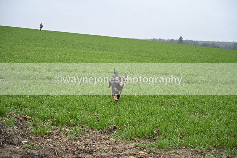 WJ7_9713 - Walk out..