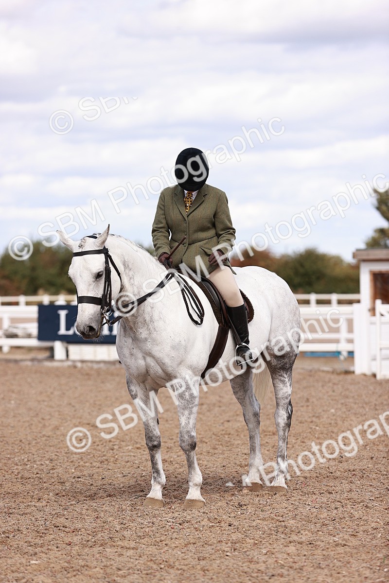 SBM_14456 - Class 410 - Grassroots Ridden - Horse
