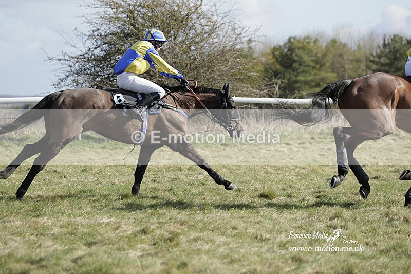 PtP 260223 319 - South & West Wilts Point-to-Point Larkhill 26/02/23
