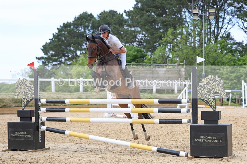 3E7A7446 - Class 8: Senior Foxhunter/1.20 open