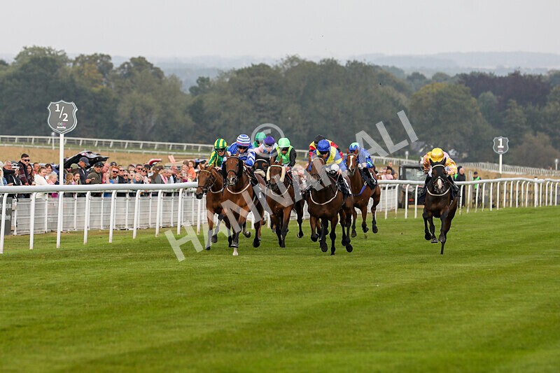 310824-Race 8-This Years Love-2339 - Race 8