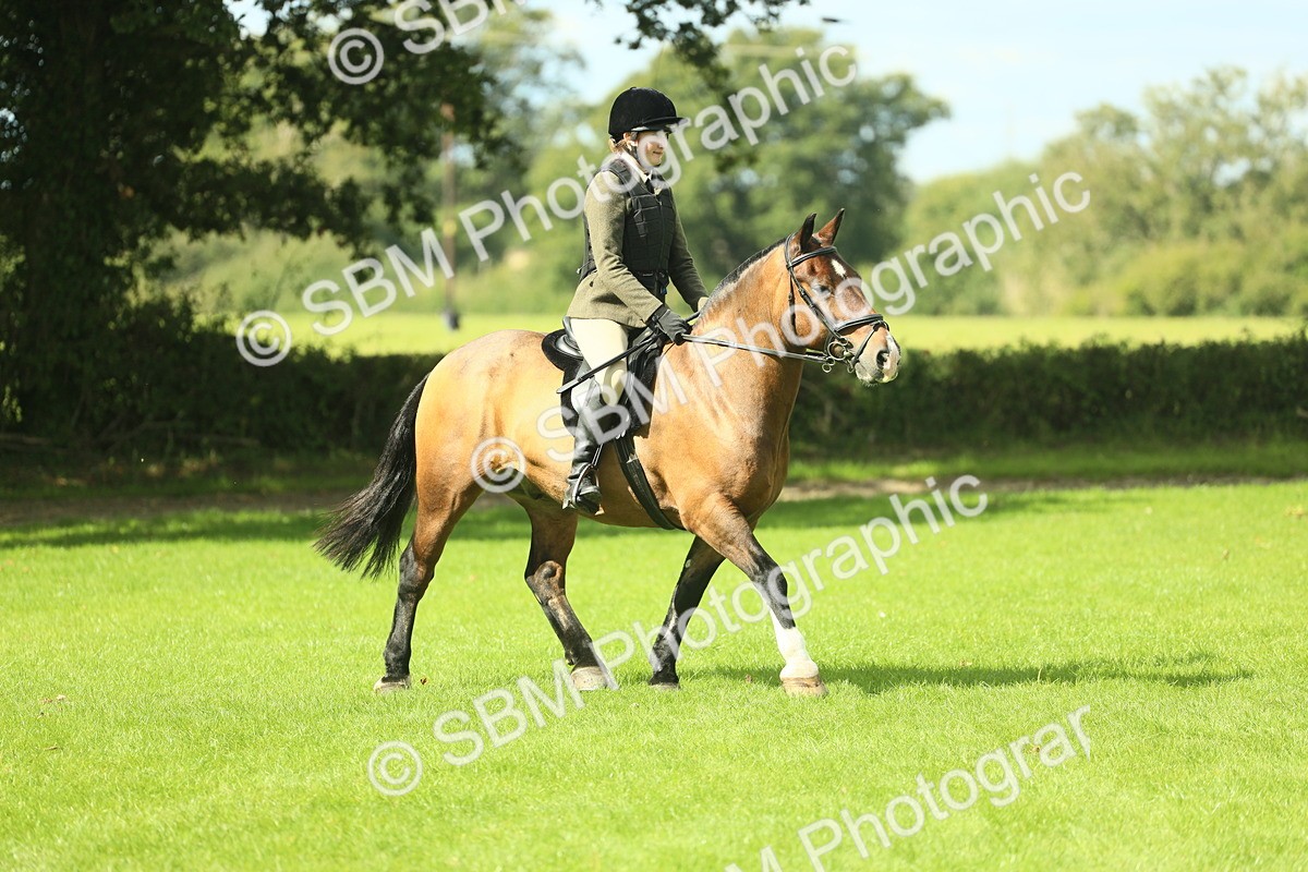 SBM_42088 - S29 - Novice & Newcomers Working Hunter Pony
