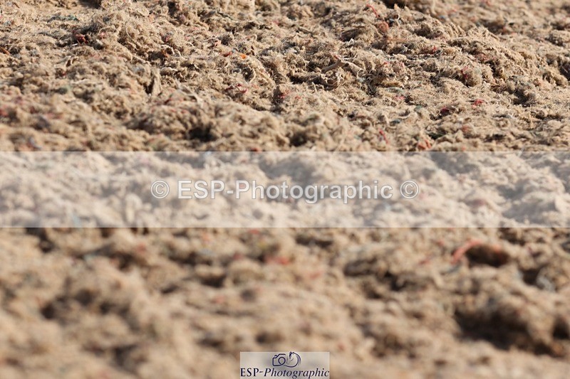 250622-092128-13859 - Cls 44 Prelim 5, 9.20 to End