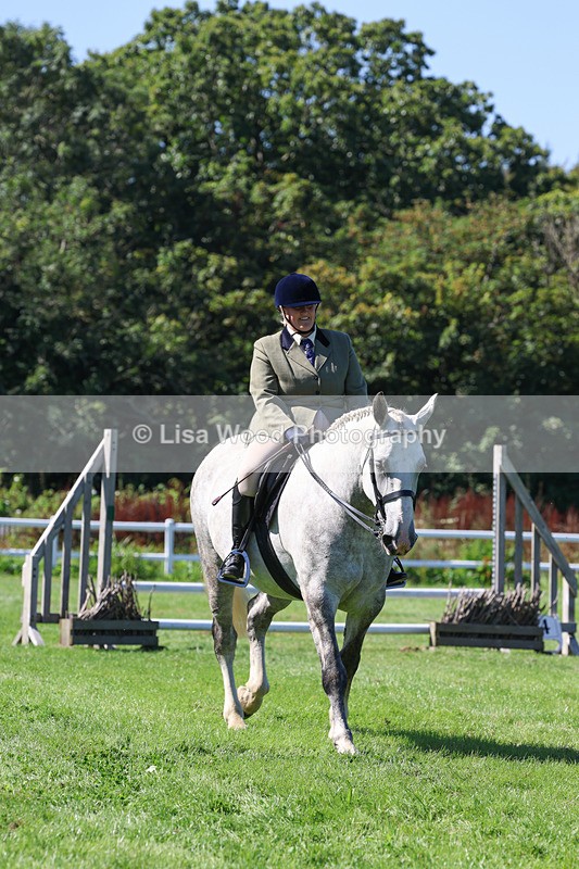 3E7A8263 - Class 4: Novice working Hunter