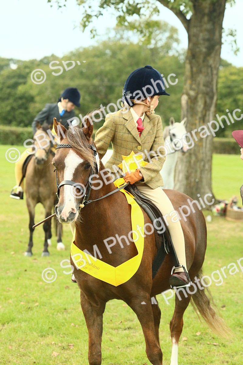 SBM_70040 - S59 - Mountain & Moorland Ridden Small Breeds