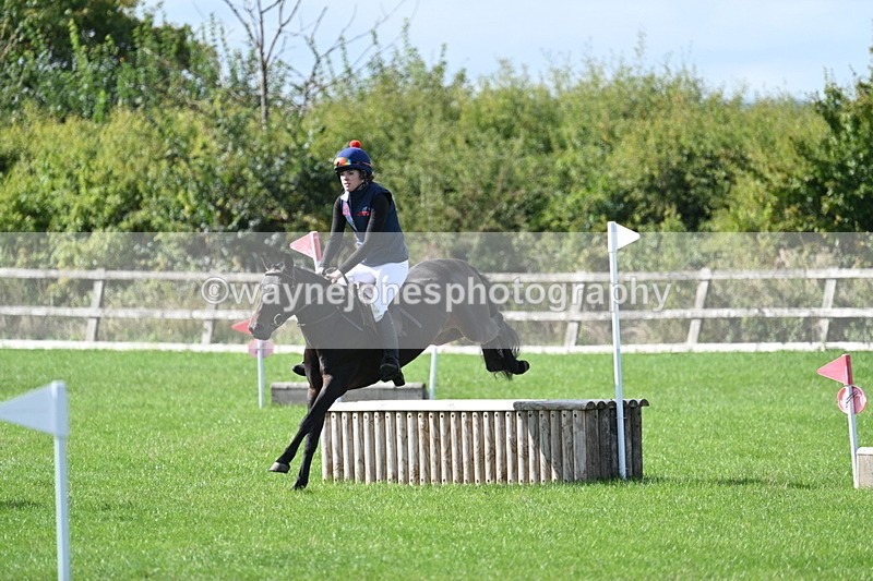 WJ7_8597 - 60cm Pairs