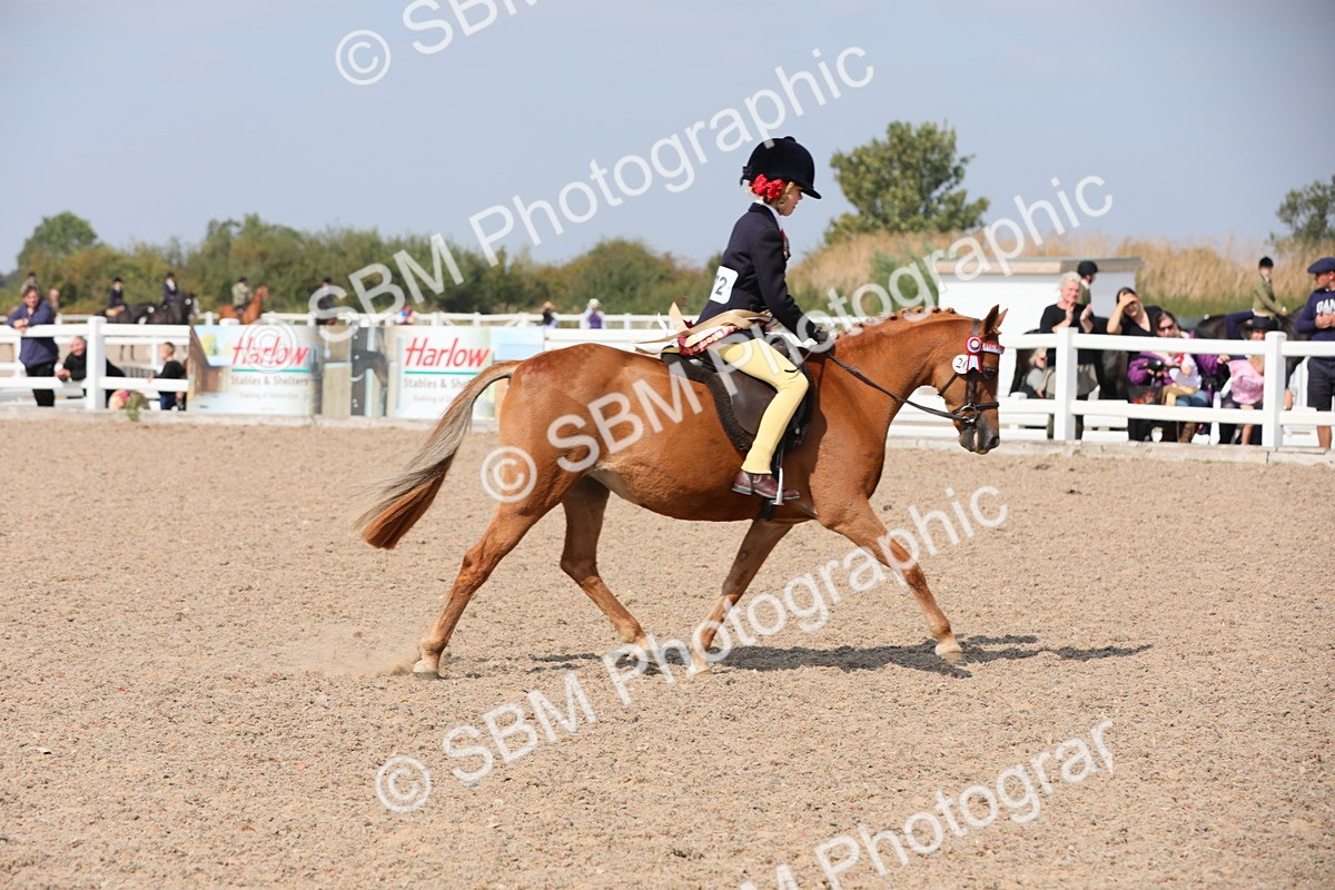 SBM_14786 - Class 310 First Ridden Pony