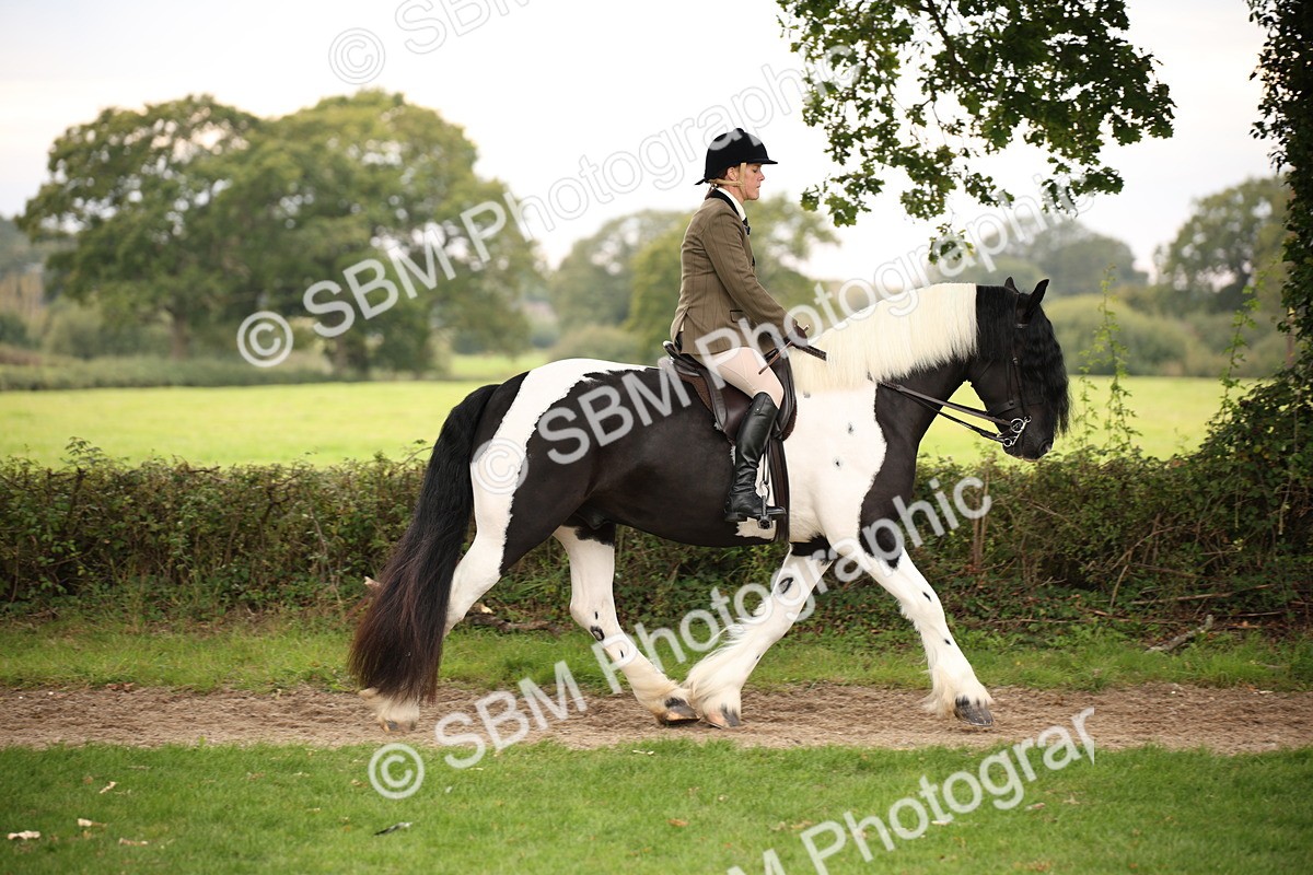 SBM_73427 - S68 - Traditional Cob Ridden
