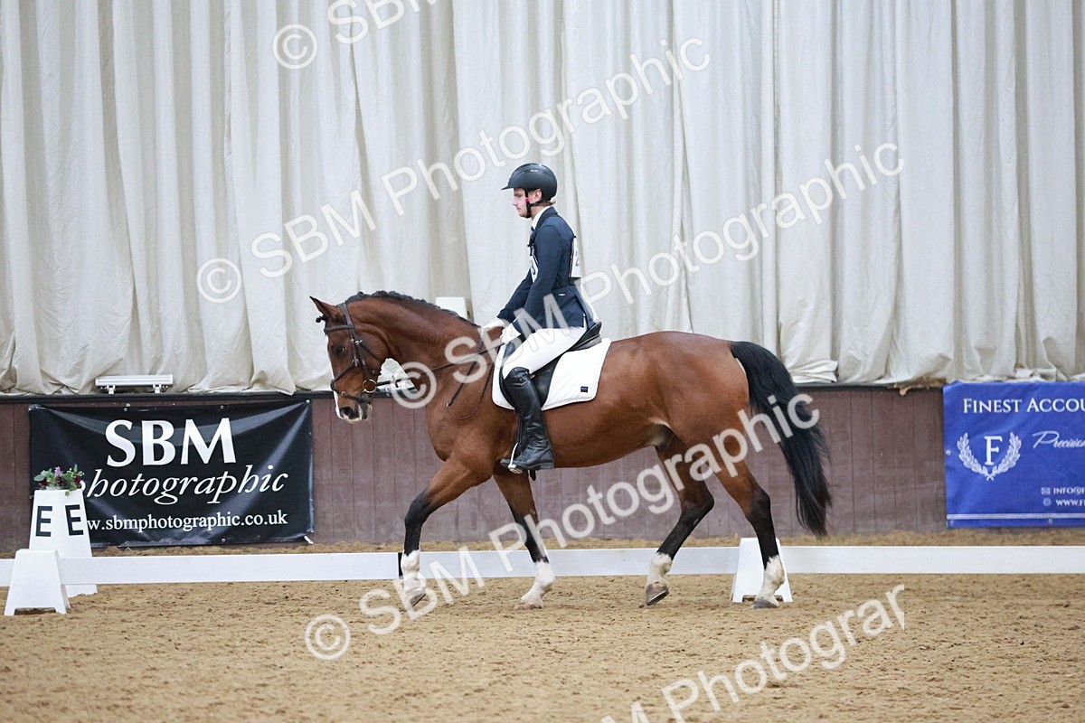 SBM_004670 - Ring 3 - International -  Working Hunter Classes 23-2-25