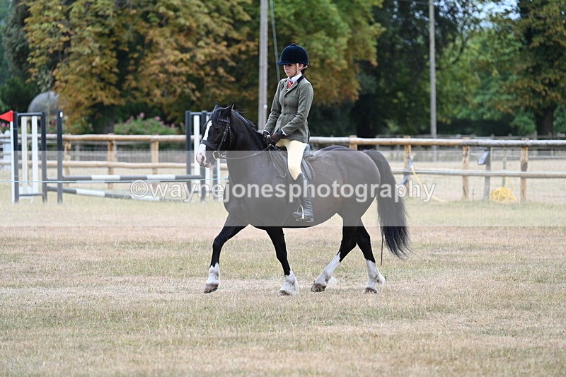 WJ7_0321 - Class 6 Ridden Mountain and Moorland