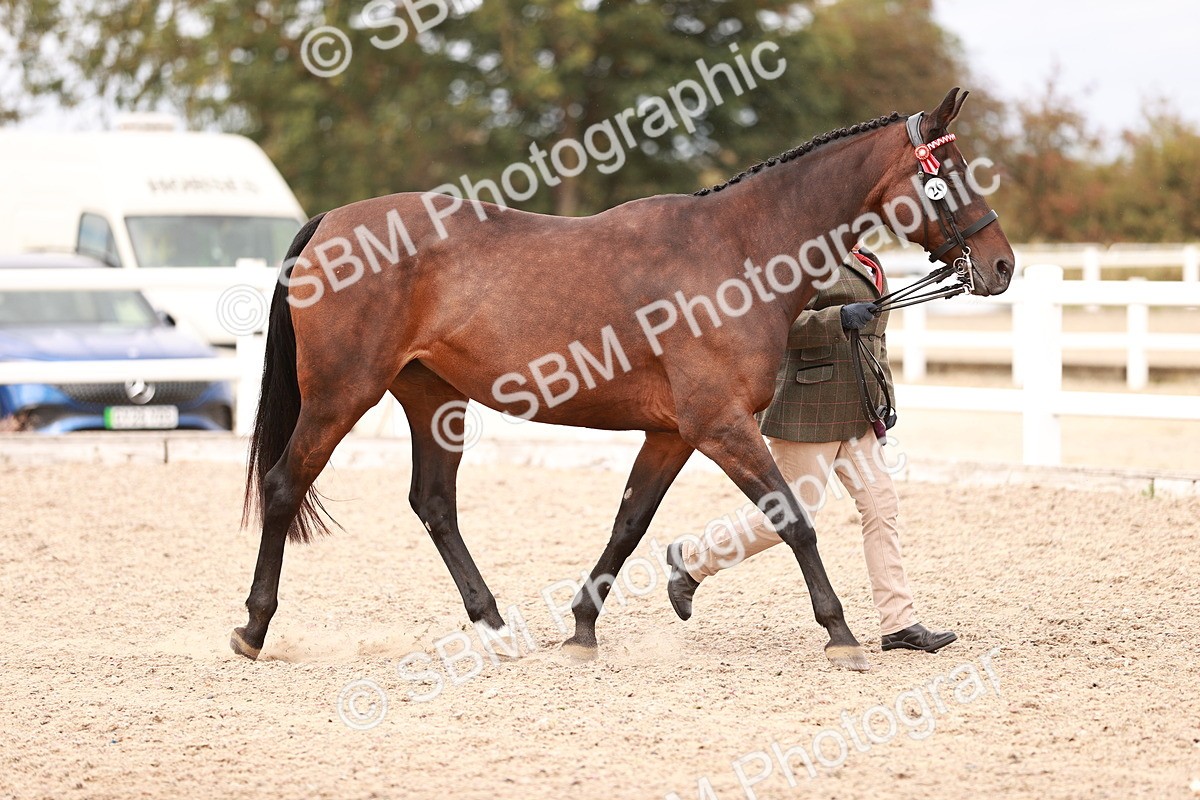 SBM_16280 - Class 413 - Best Condition - Adult