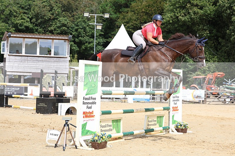 3E7A4308 - Class 8: Senior Foxhunter/1.20 open