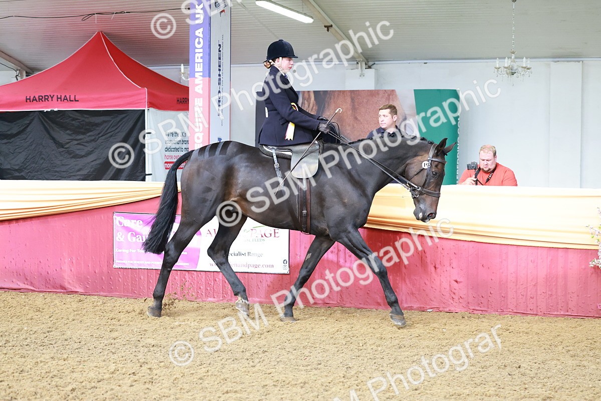 SBM_12017 - Class 102 - Equitation (Best Rider) Adult