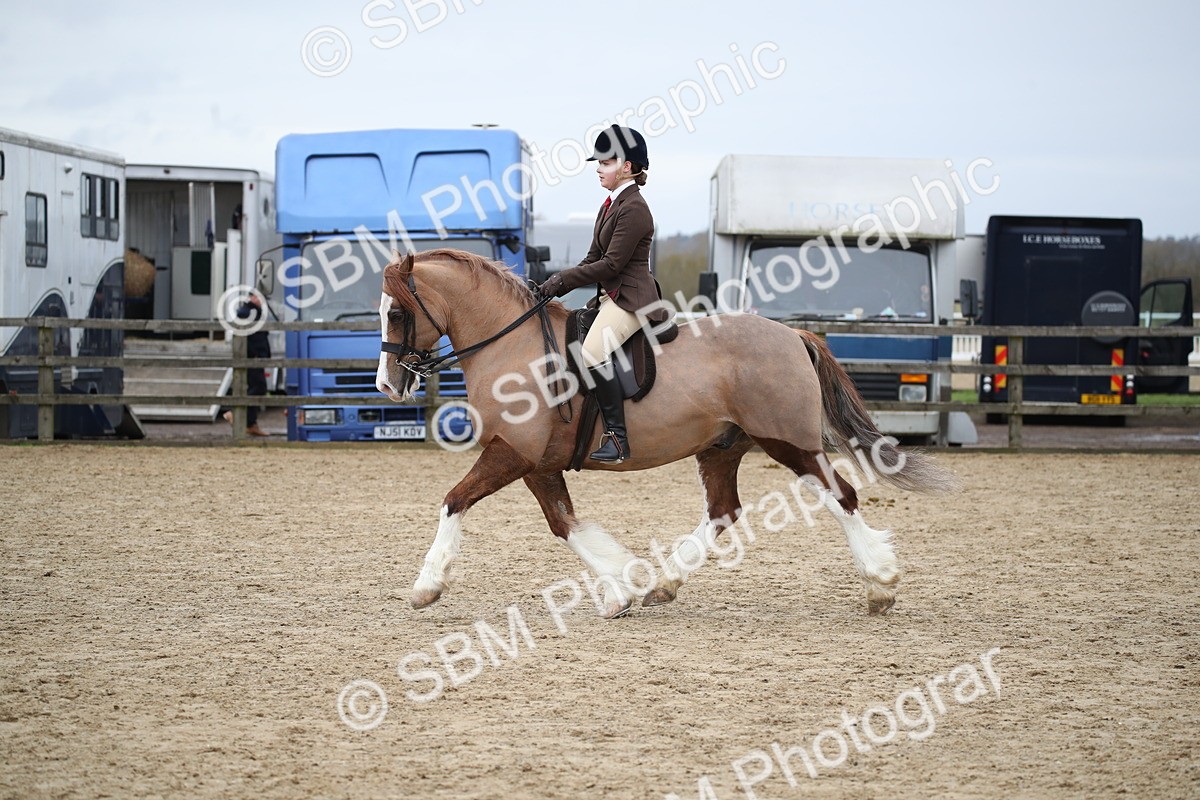 SBM_006138 - Class 10-13 - RIHS Small Large Breeds
