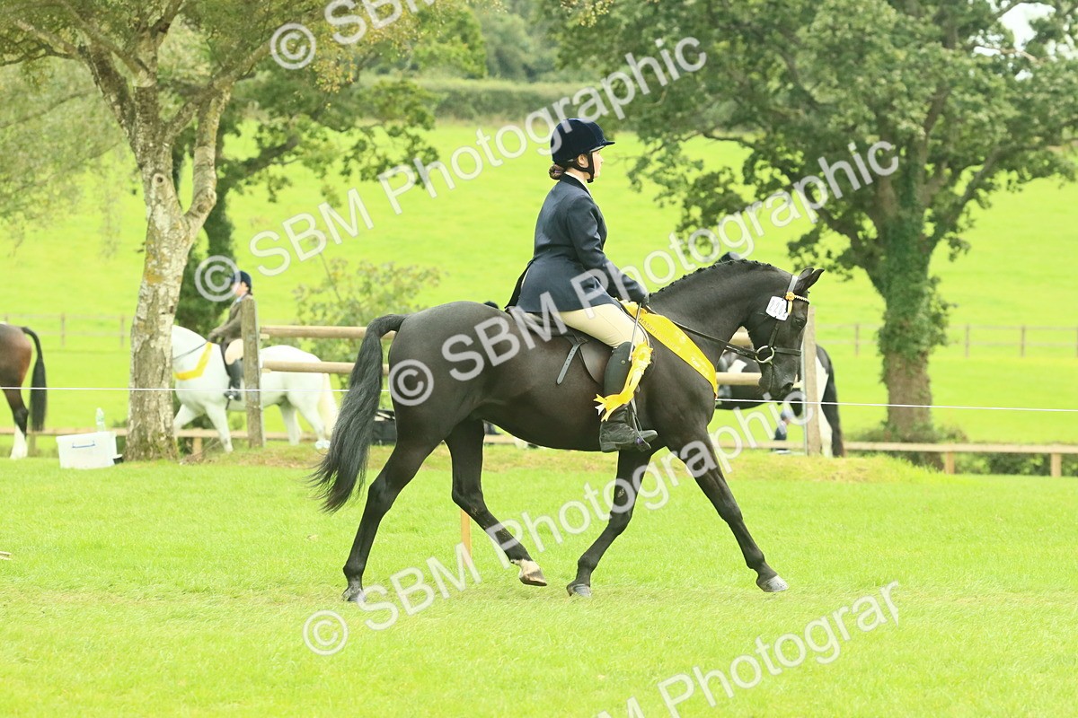 SBM_74988 - Ridden Pony Supreme Championship