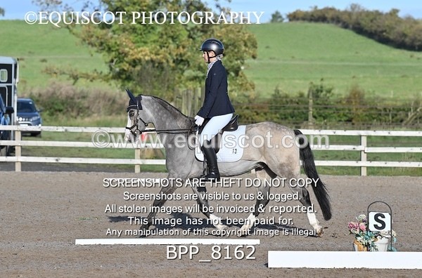 BPP_8162 - SHORT ARENA