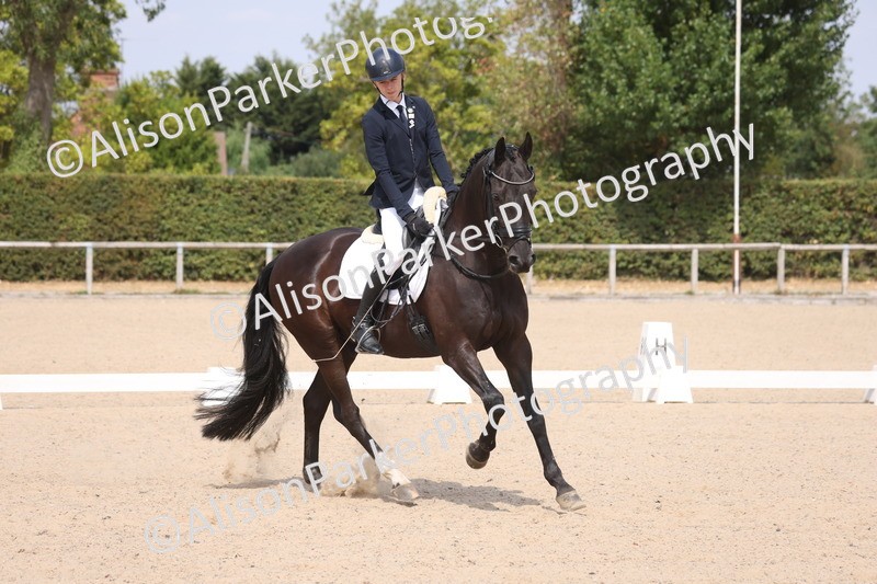 20260816-1093 - Class 4 - Novice 6