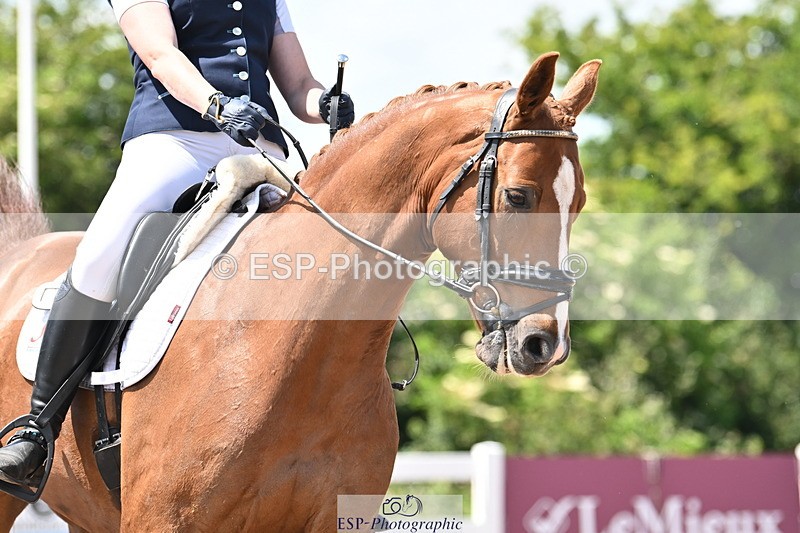 240621A-140555-03838 - Cls 11 BD Medium 73