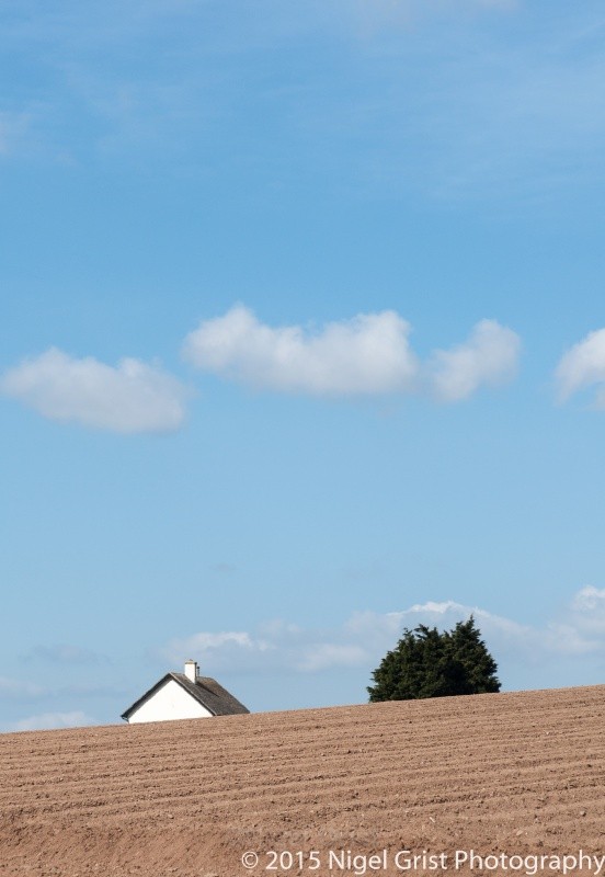 House and tree, hiding - Landscape