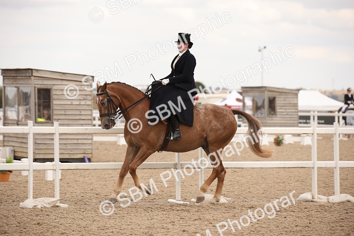 SBM_05363 - Class 22 SSA Equitation