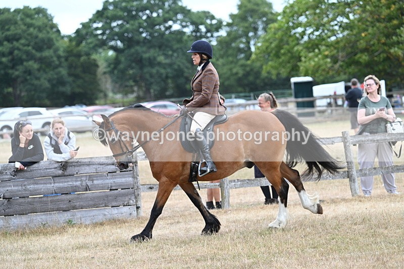 WJ7_0593 - Class 6 Ridden Mountain and Moorland