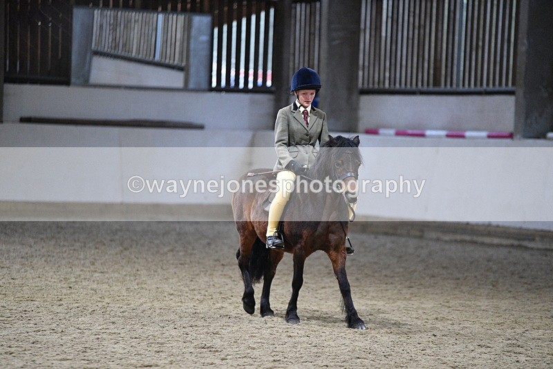 WJ5_8598 - Class 14 Novice Ridden/Rider