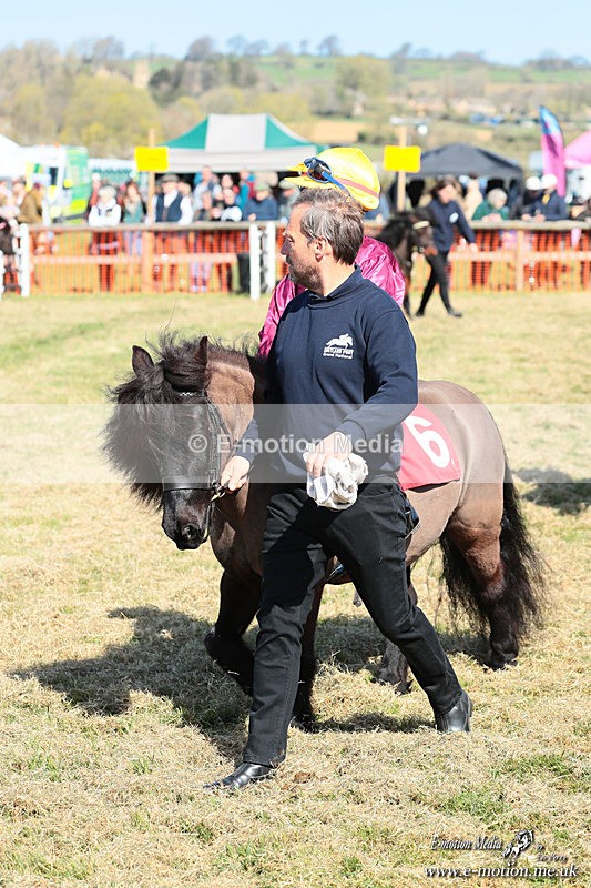 Shet 060426 119 - Shetland Pony Racing Paxford Races Easter Mon 06/04/26