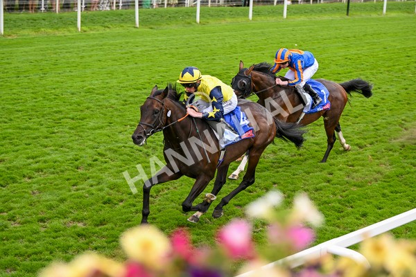 240824-Race 2-Tabletalk-1332 - Race 2 2.25pm Sky Bet Melrose Handicap