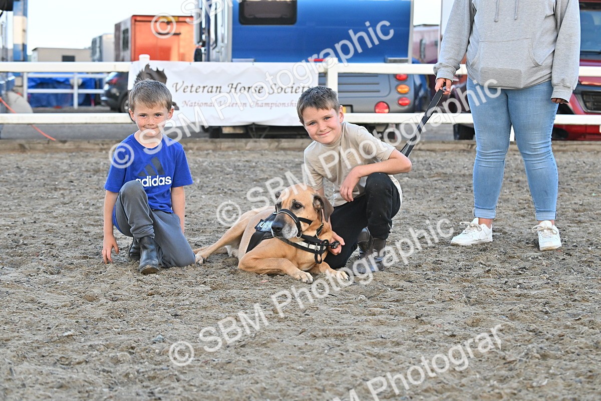 SBM_09580 - Lorry Dogs