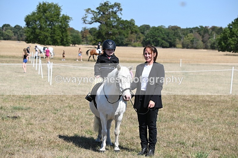 WJ6_8184 - Class 36 Lead Rein
