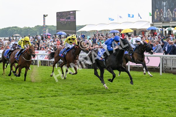 170524-Race 3-Devoted Queen-7881 - Race 3 3.15pm Sky Bet Fillies' Stakes (Registered As The Michael Seely Memorial Fillies' Stakes)