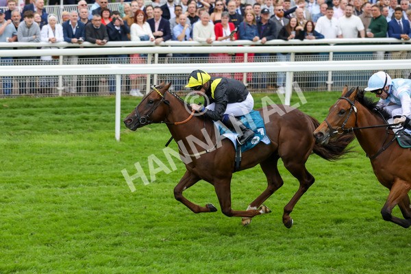 250524-Race 2-Arabie-3026 - Race 2 2.10pm Reg Bond 'Always And Forever' EBF Restricted Novice Stakes