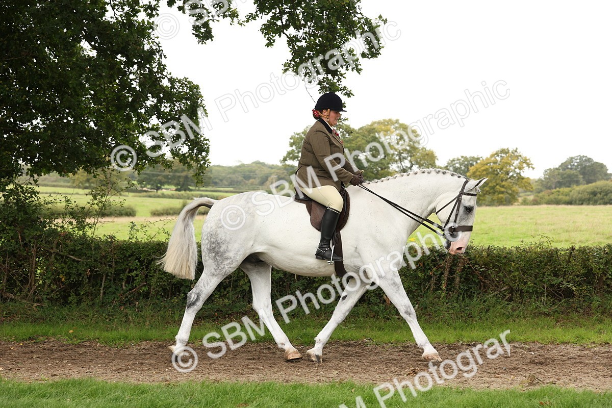 SBM_66293 - S66 - Hunter Ridden